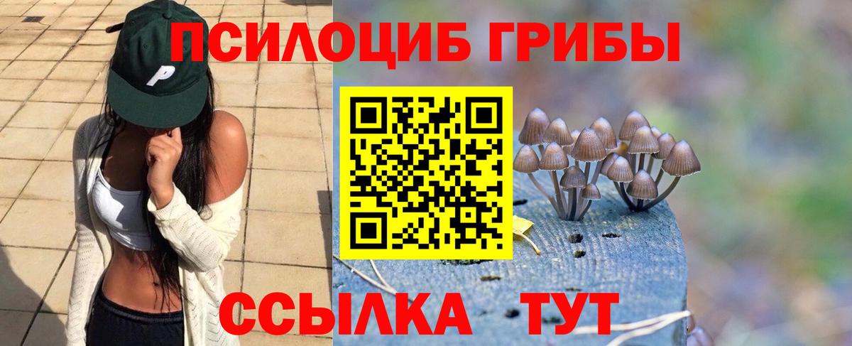 Строитель  Псилоцибиновые грибы GOLDEN TEACHER  Вход с VPN 