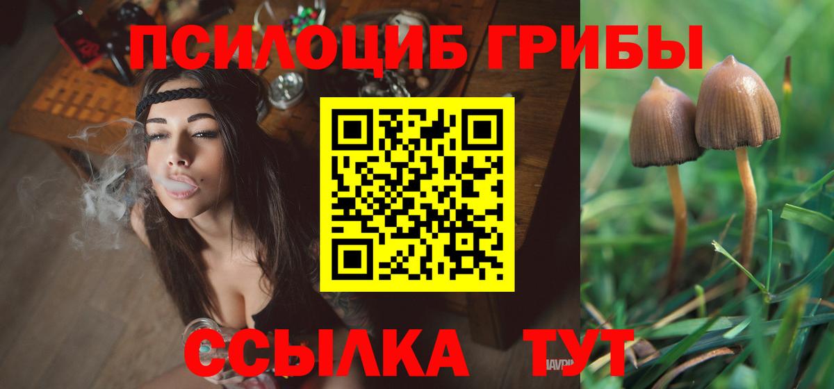 Псилоцибиновые грибы GOLDEN TEACHER Строитель